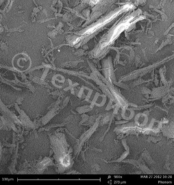 ФОТО.2. Электронно-микроскопическое изображение древесной муки, полученной на комбинированной мельнице-нагревателе «С.А.М.П.О. 2012» с 50 пульсационными камерами статора (увеличение 980х, размерная шкала- 130 мкм)